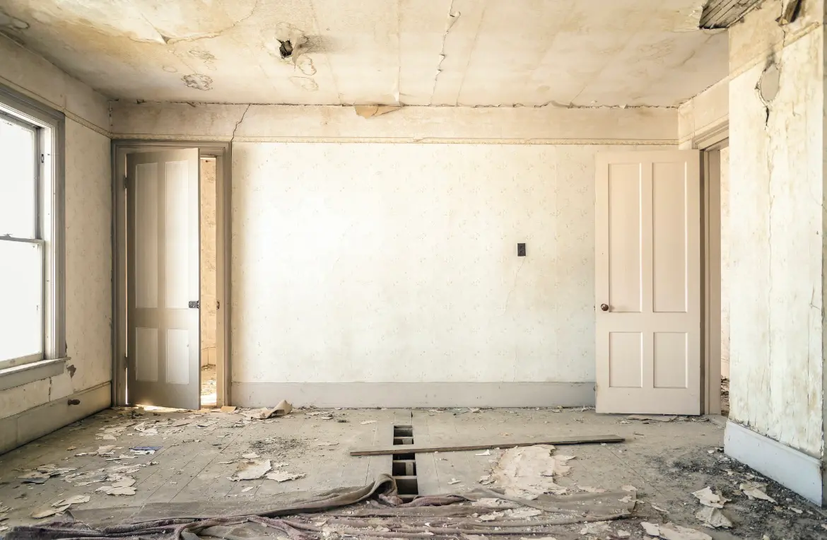 Waste disposal crew managing a cleanout project in Webster